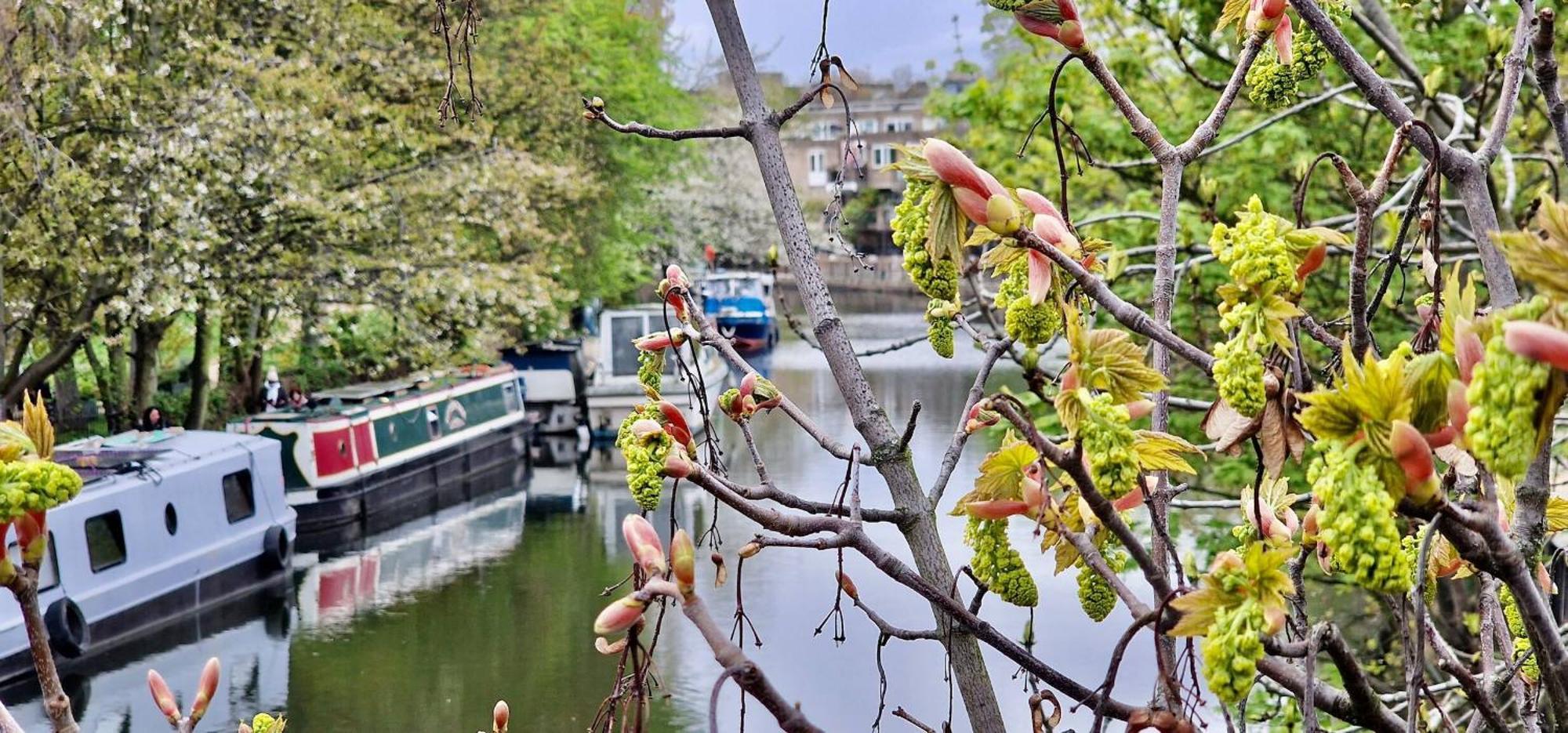 Apartamento Canal View 3 Bed Flat - Little Venice! *